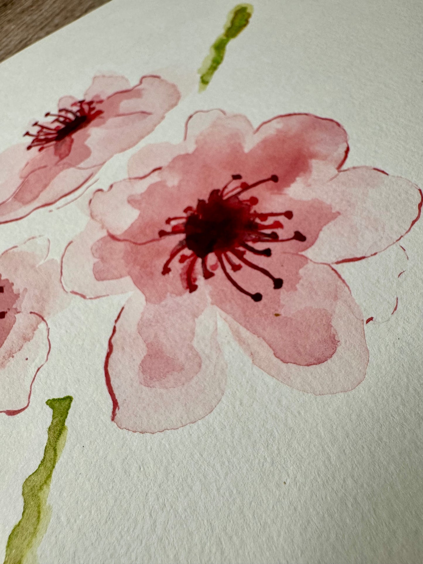 Flowers: Original Watercolor